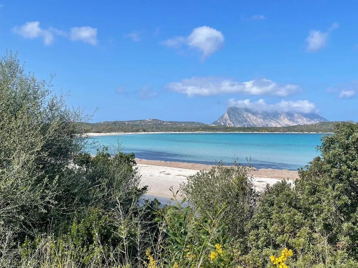 Apartman Le Dimore Del Sole Int 8 Olbia